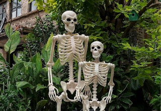 amazon skeletons 2023 2 1696341527 1696341527