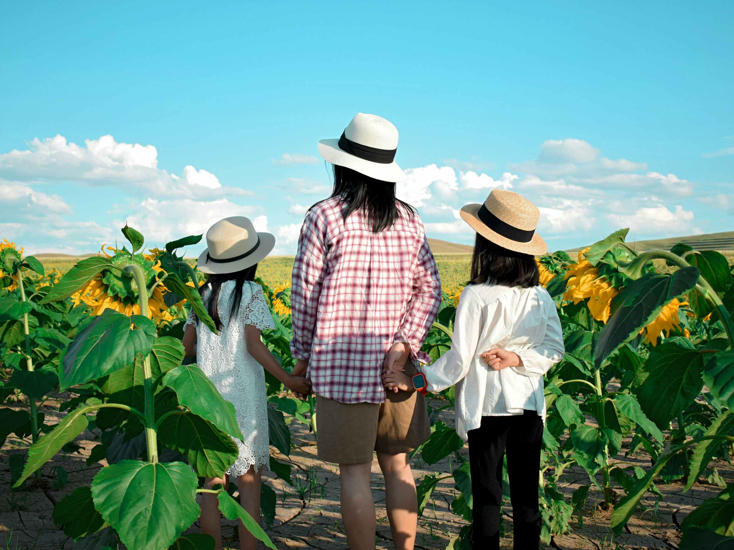mother and two children standing in a sunflower field