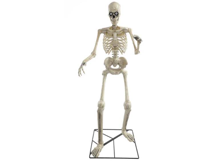 A plastic skeleton standing up.