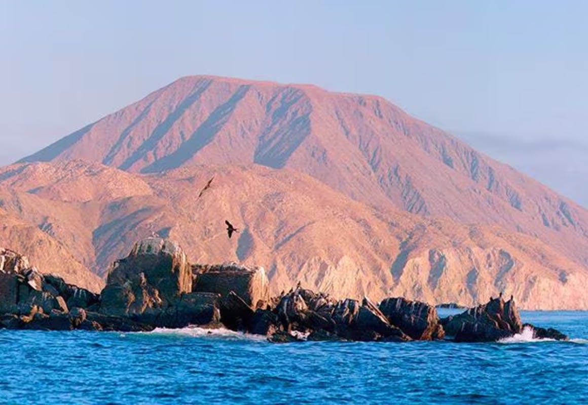 Carnival Cruise Line