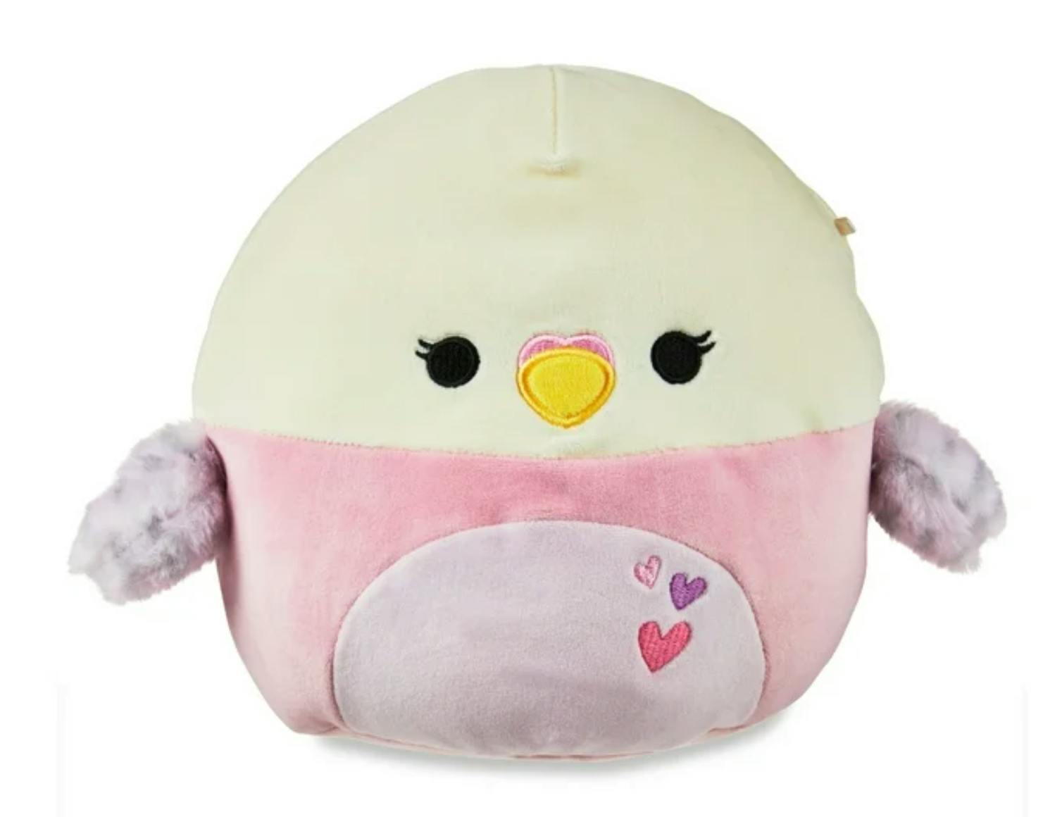 Isadora the Parakeet